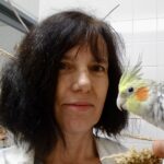 Dalila Bovet et Punk, sa perruche calopsitte